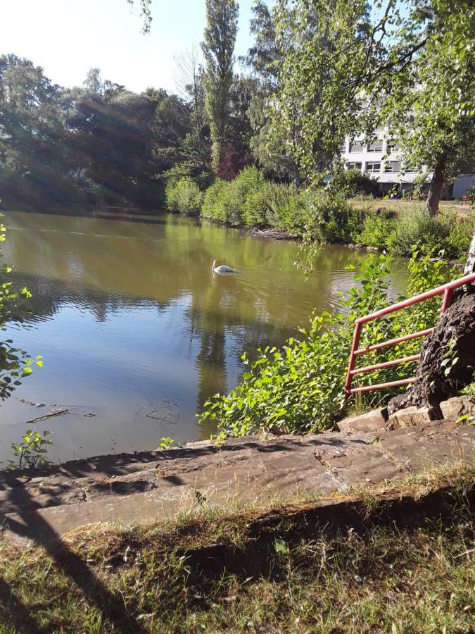 Fewo Therme Inkl Handtuecher Und Bettwaesche Altenau  Exterior foto